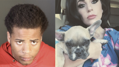 The suspect of stealing Lady Gaga's dog has been recovered after a fierce manhunt lasting 4 months