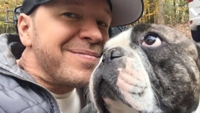 Donnie Wahlberg Finally Breaks Her Silence About The Serious Loss Of Her Dog, Lumpy