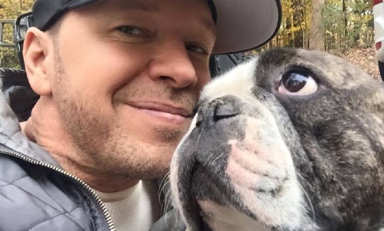 Donnie Wahlberg Finally Breaks Her Silence About The Serious Loss Of Her Dog, Lumpy
