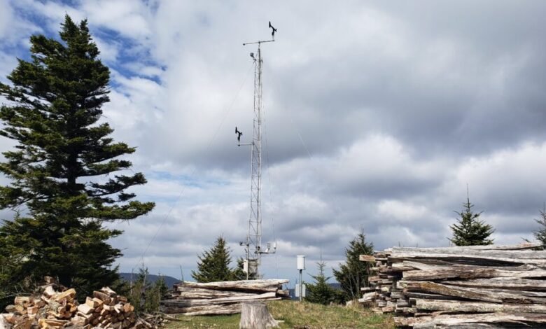 A photo of the ECONet weather station on Mount Mitchell