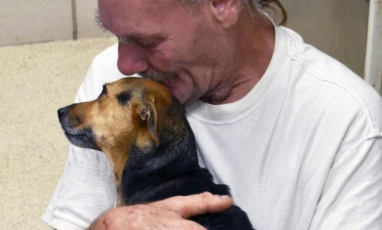 Facing Euthanasia, Local Shelter Gives Dog Dad Hope For His Injured Child