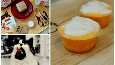 This unseasoned pumpkin coffee for cats is anything but basic [Recipe]