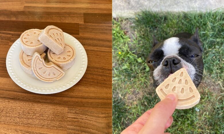 Iced Peanut Butter Pupsicles You Can Make In Just 20 Minutes [Recipe]