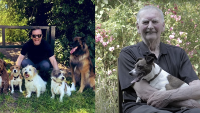 Ricky Gervais fights to save 85-year-old hound from Euthanasia