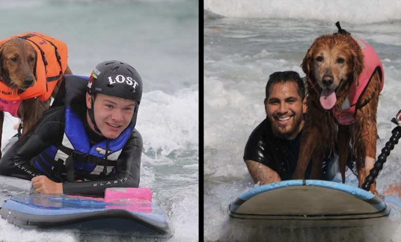 Inspiring Surf Therapy The dog made it through the waves one last time
