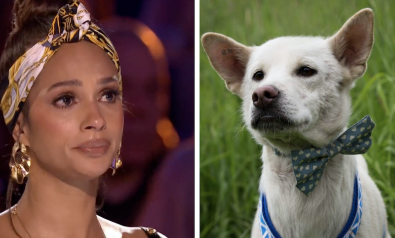 Britain's Got Talent rescue dog brings judges to tears
