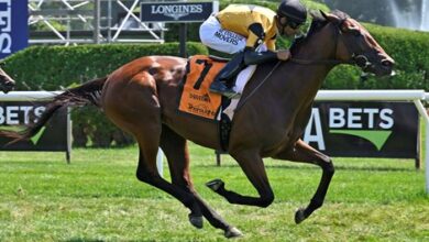 Battle of Normandy gives City of Light a turf victory