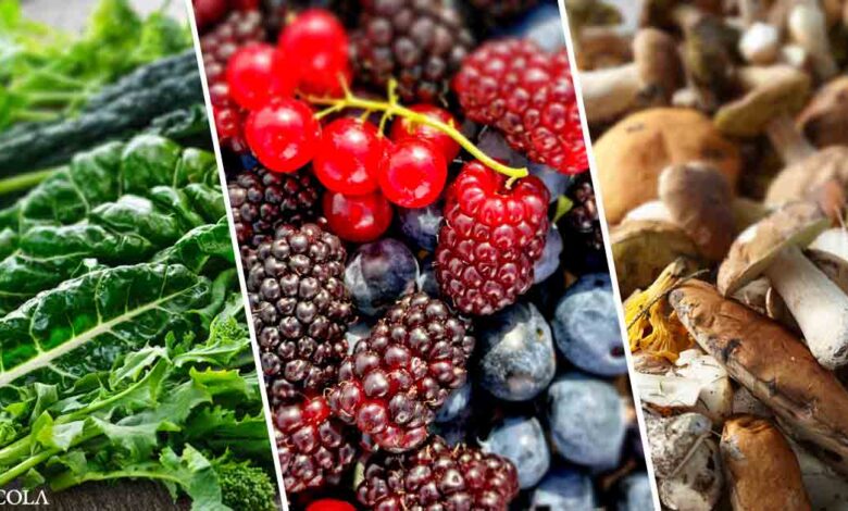 Top anti-inflammatory foods and supplements