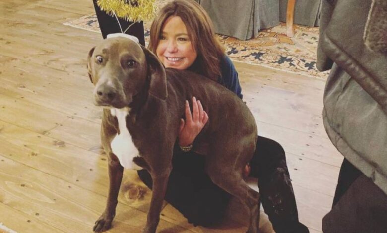 Rachel Ray's dog Bella has her own apartment at the star's Italian mansion