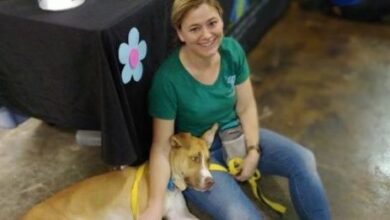 Shelter Dogs Returned by Adopters for "Too Good"