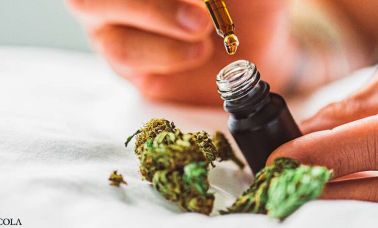 The Many Medicinal Benefits of Cannabis and Cannabidiol (CBD)