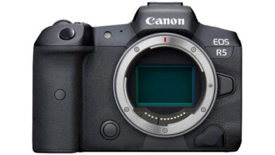 Canon Says the Camera Market Is Looking Up, Shares Plan for DSLRs
