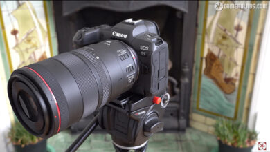 Is the Canon RF 100mm f/2.8L Macro IS USM worth it?