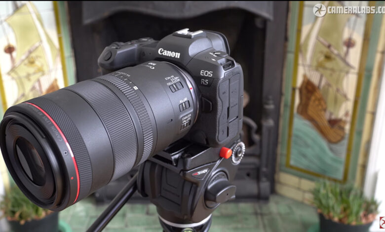 Is the Canon RF 100mm f/2.8L Macro IS USM worth it?