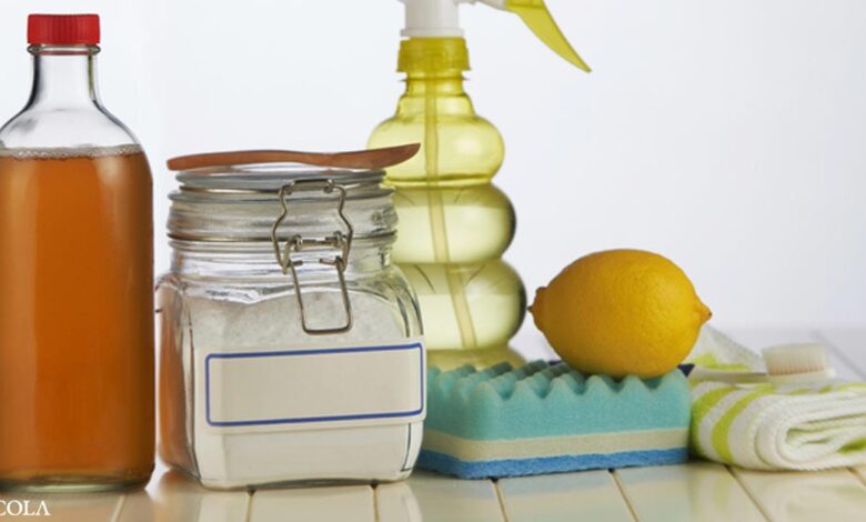Top 8 Nontoxic Cleaners You Can Use at Home
