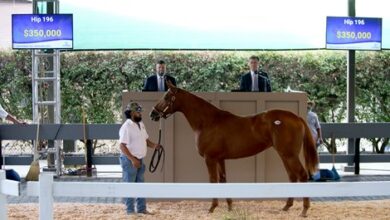 FT California Fall Yearlings catalog available