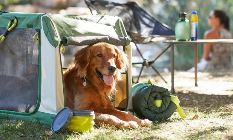 6 best soft dog crates for travel, camping and cozy kennels