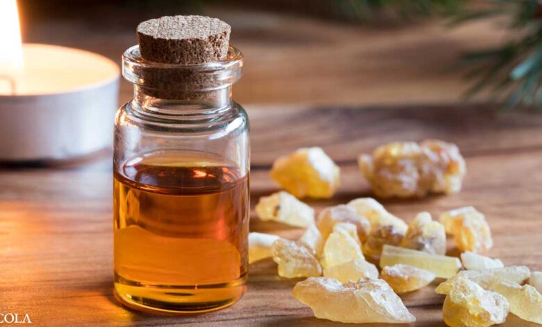 Top 11 reasons to start using frankincense oil
