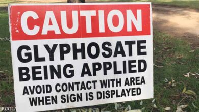 Glyphosate Use Rises: Be Careful How You Test for It