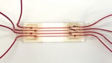 The tiny tool closely replicates four different sections of human blood vessels, allowing researchers to create variable flow conditions close to those in the body, and allowing them to watch what is happening. Image credit: McMaster University