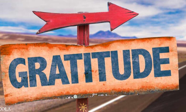 Top 12 tips to strengthen gratitude