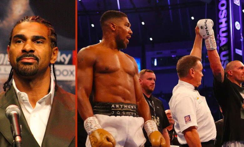 David Haye says Joshua needs to risk disqualification against Usyk in rematch