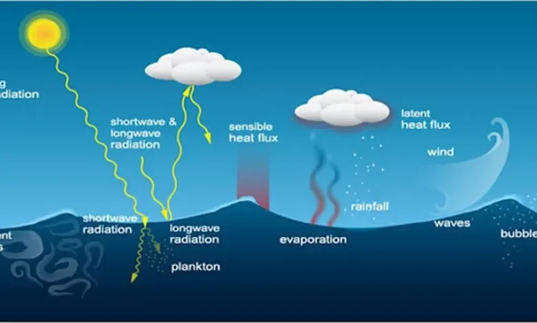 Does Greenhouse Back-radiation Warm the Oceans? – Watts Up With That?