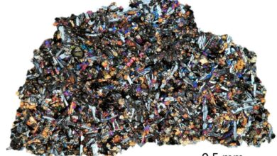 Thin section of NASA sample, LAP 02436, Lunar Mare Basalt containing indigenous noble gases. Image type: optical microscopy, cross-​polarized light. (Image credit: ETH Zurich / Patrizia Will)