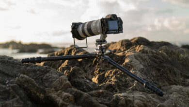 When Less Is More: We Review the Benro Tortoise 24C Tripod
