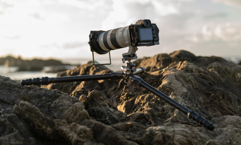 When Less Is More: We Review the Benro Tortoise 24C Tripod