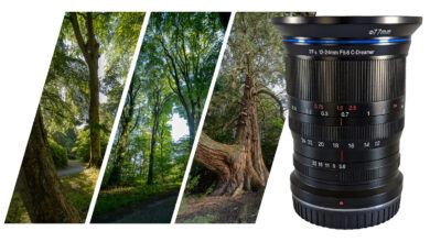 Is Laowa’s 12-24mm f/5.6 C-Dreamer a Dream to Use? We Test It To Find Out