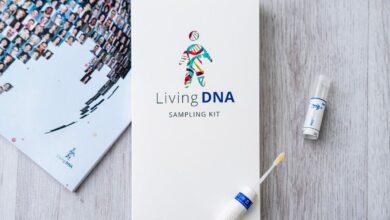 5 best DNA tests in 2022