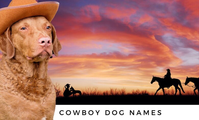 Cowboy Dog Names
