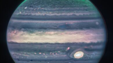 NASA's James Webb Telescope Captures New Images of Jupiter's Aurora, Rings: NPR