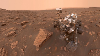 NASA Shares Amazing Curiosity Selfies!  Celebrating 10 years of Mars rovers