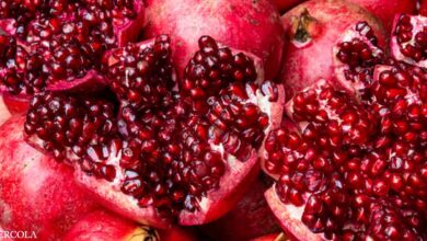 Top Health Benefits of Pomegranate