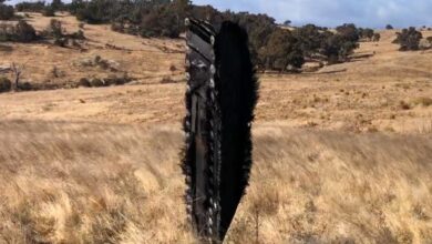 Suspected debris from SpaceX capsule lands on farmland in Australia |  Science & Technology News