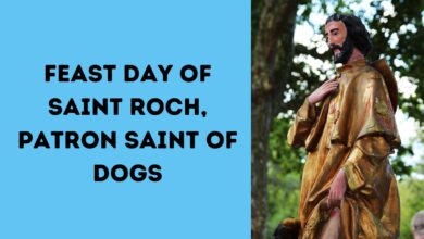 Feast Day of St Roch, Patron Saint of Dogs