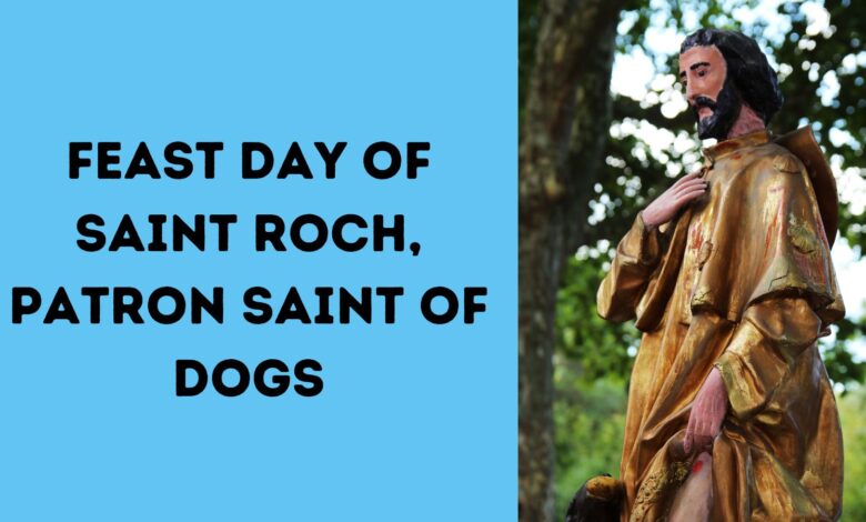 Feast Day of St Roch, Patron Saint of Dogs