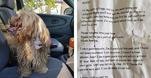 Man finds heartbreaking note about being lost and takes action