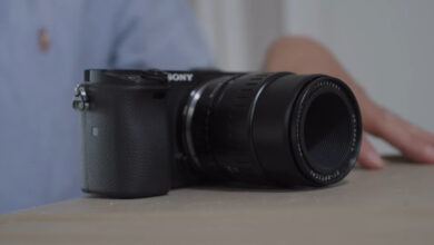 4 Reasons Why This Budget Macro 40mm f/2.8 is Great
