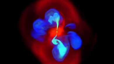 A still image taken from the 3D simulation of the natural development of an X-shaped jet. The gas (bright red) falls into the black hole, which launches a pair of relativistic jets (light blue). The jets propagate vertically and shock the ambient gas (dark red) The older cavities (dark blue) buoyantly rise at an angle to the vertically propagating jets to form the X-shape. Image credit: Northwestern University