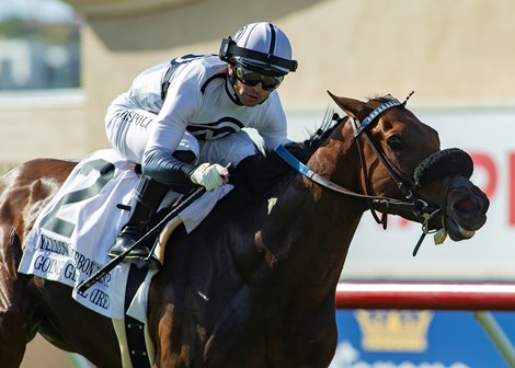 Stable friends go global, to Vegas Vie in Mabee