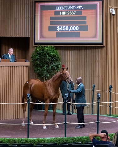 Keeneland Books September Ends with $450K Connect