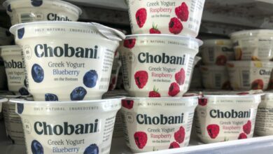 Chobani withdraws IPO plans after yogurt maker files to go public in November