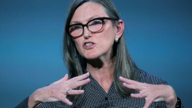 Cathie Wood calls for a key Fed policy pivot in three to six months, says outbreak reduction