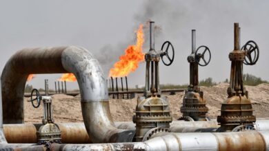 OPEC+ surprises energy markets with small production cuts