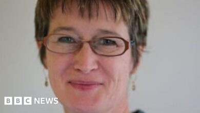 Vicky Bowman: Former UK ambassador jailed in Myanmar