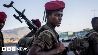 Ethiopian Civil War: Why Fighting Continues in Tigray and Amhara