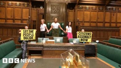 Extinction Rebellion: Climate activists arrested after Commons room protest